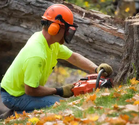 tree services Neligh